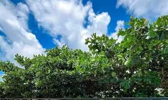 Imagem 3: EXCELENTE e LINDO STUDIO, 40 mts , Mobiliado e Decorado a 50 mts do Mar- Em PORTO de GALIN