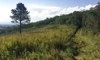 Imagem 7: Fazenda em Estrada Municipal da Cachoeira - Cachoeira - Cotia/SP
