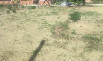 Imagem 5: Lote 400 metros quadrados na 26 de Setembro Rua 6$62 Mil