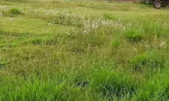 Imagem 3: URGENTE VENDE SE LOTE NO MANTOVANI