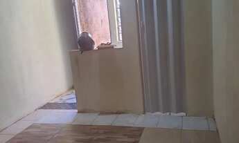 Imagem 6: Aluga se kit net independente Lageado