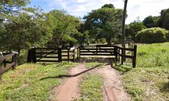 Imagem 7: A JOIA DO TRIÂNGULO MINEIRO: 388 HECTARES DE PURA TECNOLOGIA E PRODUTIVIDADE!