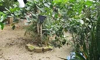 Imagem 6: Casa 2 dormitórios à venda Cavalhada Porto Alegre/RS