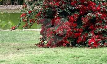 Imagem 7: Sítio à venda ou para alugar com 3 quartos, sendo 3 suítes, em Parque Residencial Indaiá