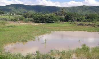 Imagem 4: Vendo Fazenda Com 60 Tarefa em Crato