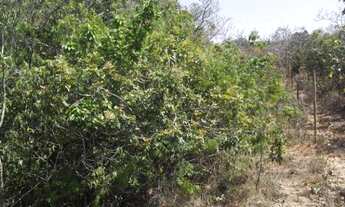 Imagem 6: Fazendinhas com nascente de água cristalina, Serra do Cipó (Temos varias opções)