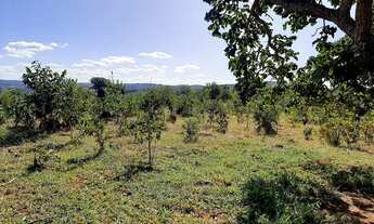 Imagem 4: Fazendinhas 20000 com estrutura e pertinho de você