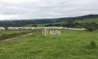 Imagem 2: Fazenda à venda, 267 alqueires paulistas por R$ 19.000.000 - Rural - Aguanil/MG
