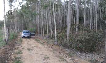 Imagem 5: Fazenda à venda, 1100000 m² por R$ 2.500.000,00 - Centro - Argirita/MG