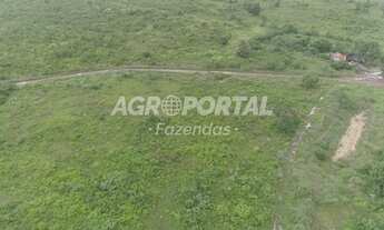 Imagem 2: Fazenda no Pará - Tailândia - PA