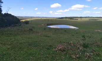 Imagem 2: Campo 125ha para Pecuária em Capivari RS