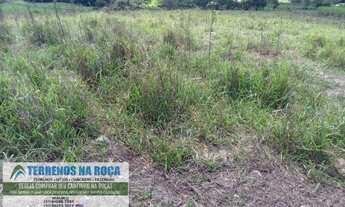 Imagem 2: Terreno em Bonfim de 9 hectares ótimo para criação de gado e casa de campo