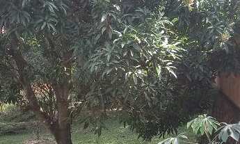 Imagem 7: Vende Um Excelente Terreno Para Fins Comercias e Residências área total 1.019,00 M²