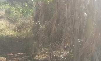 Imagem 5: Linda área para venda com 48.400 m² no Bairro Lambari - Gonçalves - MG