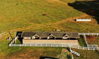 Imagem 3: Linda Fazenda para Venda com 120 alqueires em Sapucai Mirim - MG - link panorâmico