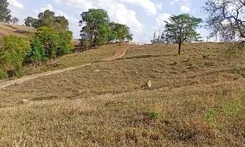 Imagem 6: Terreno em Bonfim/MG 2.5 Hectares ótimo cantinho na roça com agua corrente