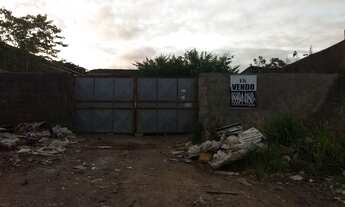 Imagem 2: Excelente terreno beira via expressa