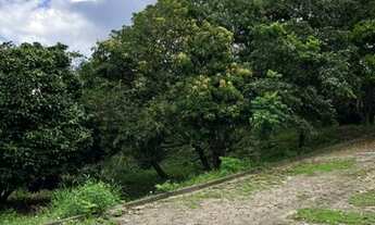 Imagem 7: Ótimo e grande terreno no bairro da Glória (Antiga Juteira Lustoza