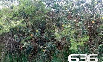 Imagem 6: Terreno | Balneário Barra do Sul