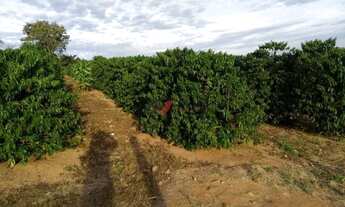 Imagem 2: Rancho / Sítio Centro, Monte Santo de Minas - MG