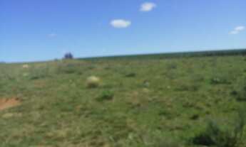 Imagem 7: Campo nativo de 76,5 ha em Capão do Cipó