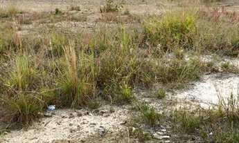 Imagem 6: Terreno à venda, 300 m² por R$ 399.000,00 - Loteamento Jardim Nova Europa - Poços de Calda