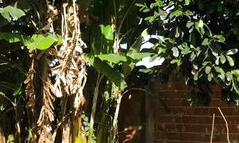 Imagem 4: Excelente lote na rua 20 da Vicente Pires - Vila São José