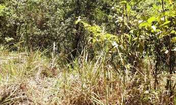 Imagem 4: Terreno à venda, 2457 m² por R$ 282.555,00 - São Sebastião das Águas Claras - Nova Lima/MG