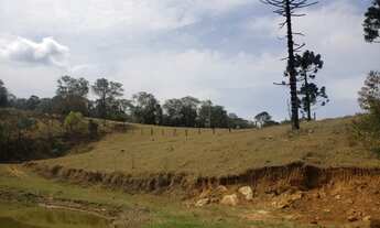 Imagem 4: Lote/Terreno para venda em Sapucaí-Mirim - MG