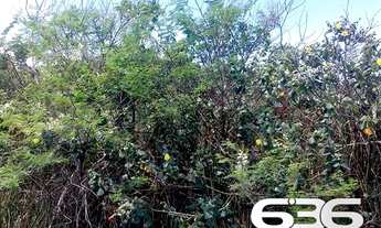 Imagem 7: Terreno | Balneário Barra do Sul