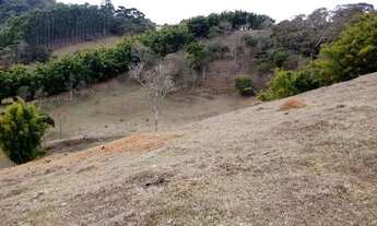 Imagem 3: Área com Casa (4 qtos) para Venda com 4 alqueires - Bairro Santa Luzia - Sapucaí-Mirim - M