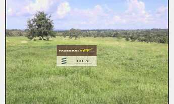 Imagem 2: Fazenda Premium ! 210 Alqueires - Região de Piranhas - GO ! Oportunidade !