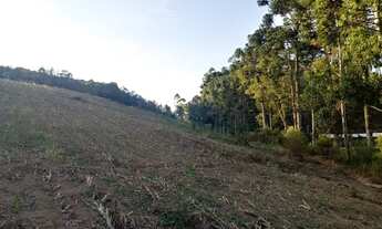 Imagem 7: Grande Oportunidade!! Belíssima Chácara com Área de 12.000m², em Marmelópolis/MG