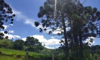 Imagem 5: Fazenda/Sítio/Chácara para venda em Sapucaí Mirim
