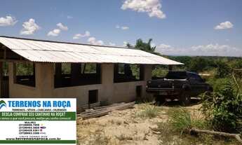 Imagem 3: Fazenda em João Pinheiro MG 280 hectares 3 nascentes aceito imóvel em Sao Paulo