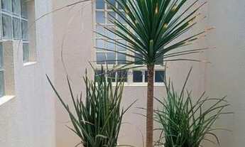 Imagem 5: Casa com 3 dorms, Vila Celso Mauad, Catanduva - R$ 720 mil, Cod