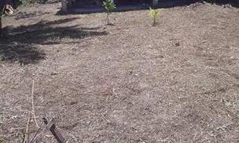 Imagem 2: Vendo casa na ilha