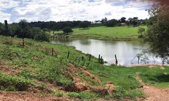 Imagem 4: Vende-se fazenda 40 alqueires em Trindade-Go