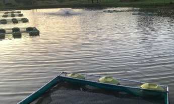 Imagem: Chácara a venda em Anicuns - GO