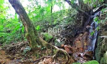 Imagem 5: Apartamento para Venda - 61.37m², 2 dormitórios, sendo 1 suites, 1 vaga - Nonoai