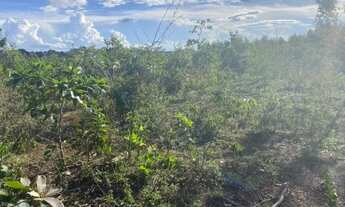 Imagem 2: Terrenos de 5mil m2