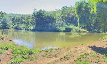 Imagem 7: Vende-se fazenda 40 alqueires em Trindade-Go