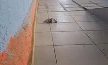 Imagem 4: Casa pra alugar no Jabaquara