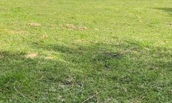 Imagem 5: Chácara de 3 mil metros só de terra a venda em Jacutinga _Minas Gerais