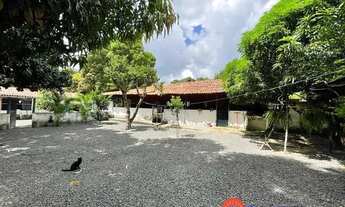 Imagem: SITIO PINGO DAUA POV.MUCUIN TERESINA