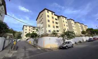 Imagem 2: Diadema/SP - Serraria