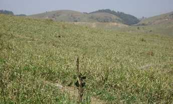 Imagem 6: Área para loteamento ou Condomínio Fechado