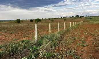 Imagem 2: Fazenda 840 Hecteares Rio na Divisa