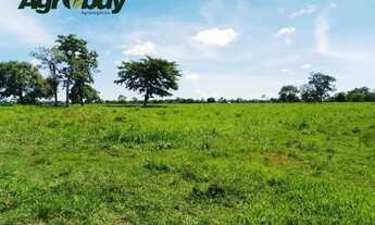 Imagem 5: Fazenda em Tocantins