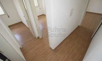 Imagem 5: Apartamento Padrão em Pelotas